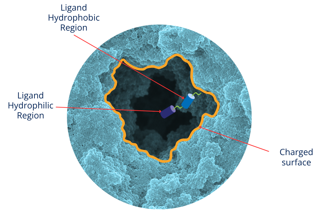 Chromni stationary-phase chemistry and retention modes
